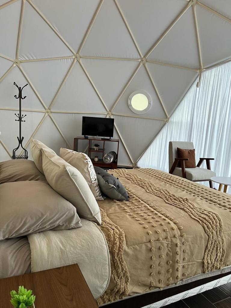 El Gato Glamping Con Vista Al Valle Huasca de Ocampo Room photo